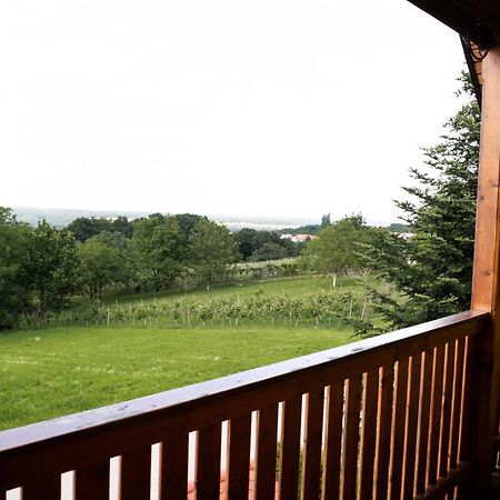Apartma-Spa Natura Sveti Jurij ob Scavnici Eksteriør bilde