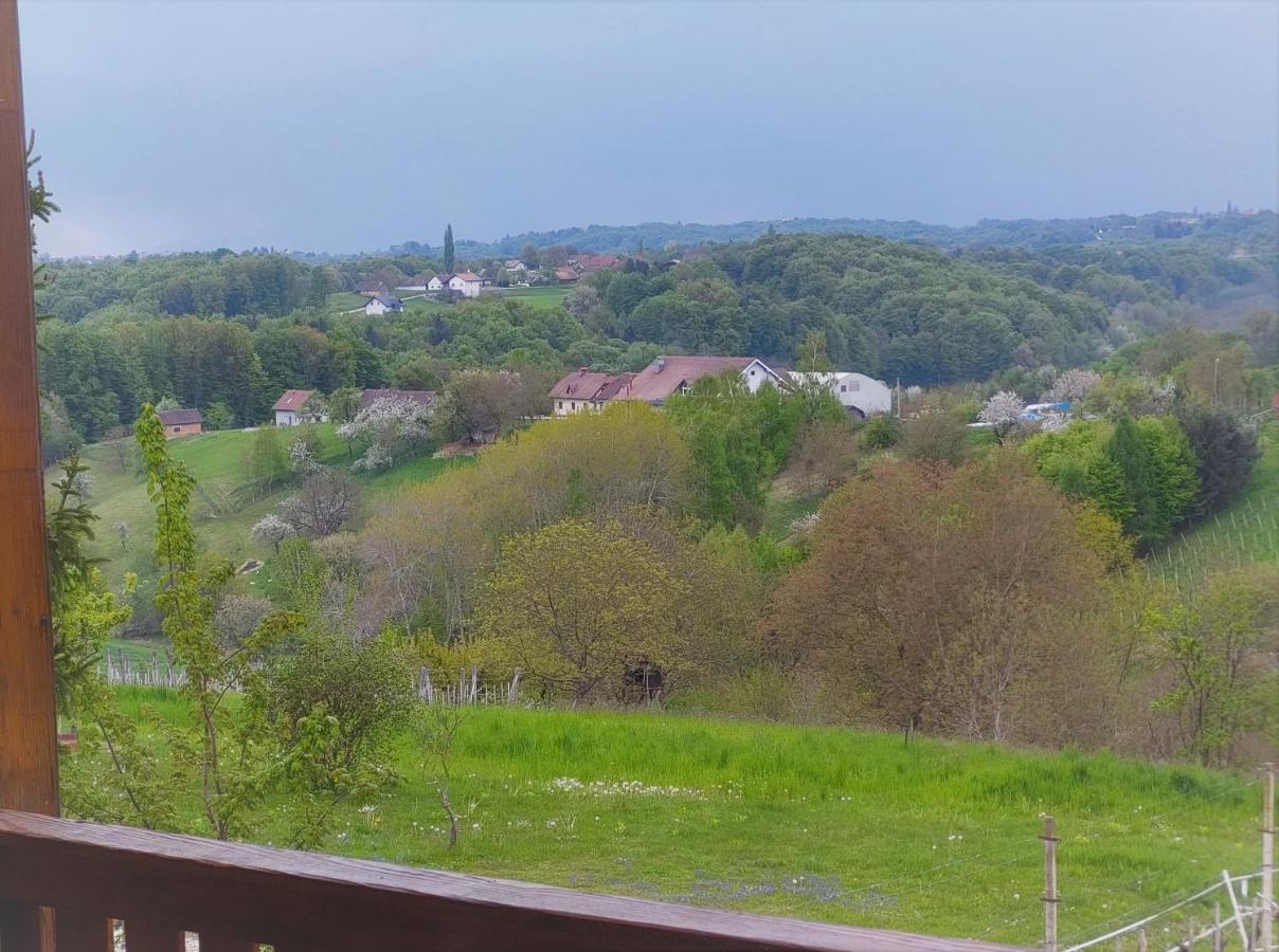 Apartma-Spa Natura Sveti Jurij ob Scavnici Eksteriør bilde